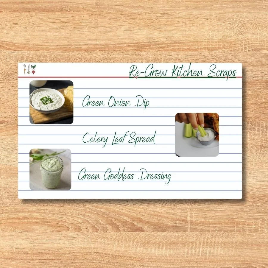 ReGrow Kitchen Scraps.jpg