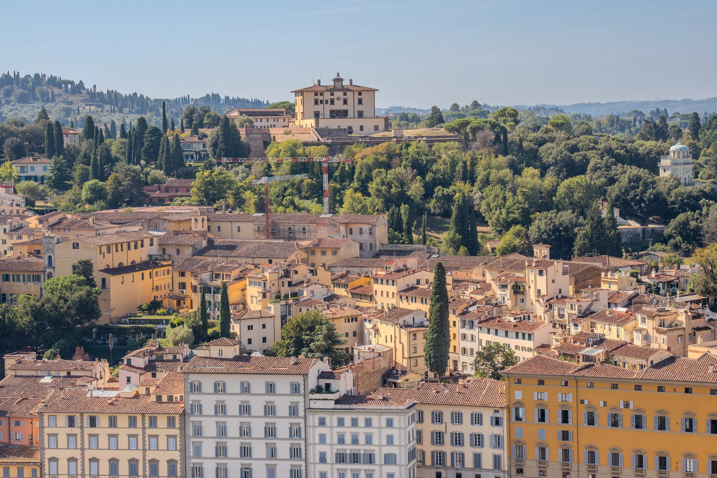 colorful old buildings amidst trees