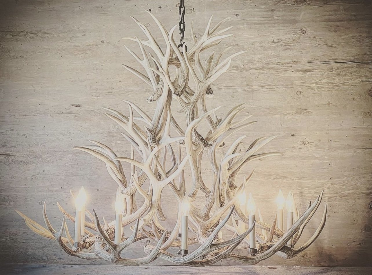 Wild & Wonderful | Dallas-Fort Worth Interiors | SSI