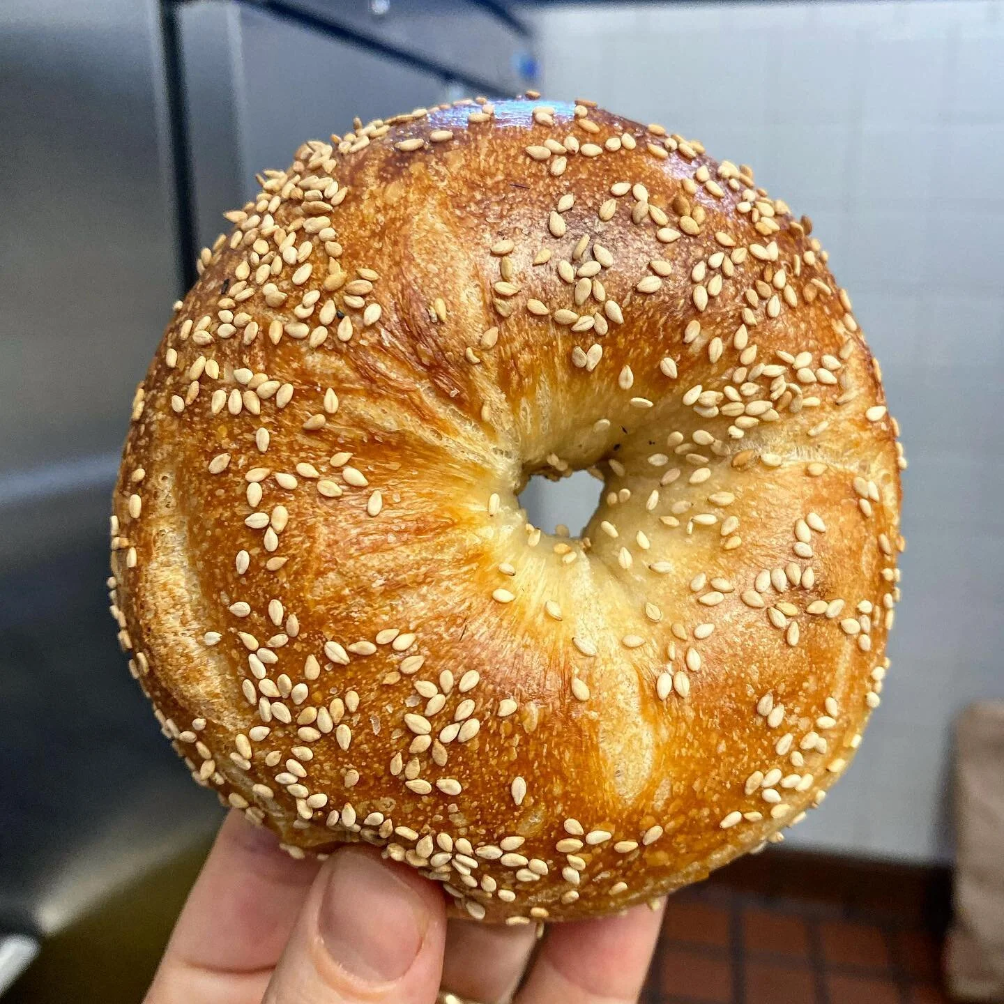 Menu 1 — Harvey's Handrolled Bagels
