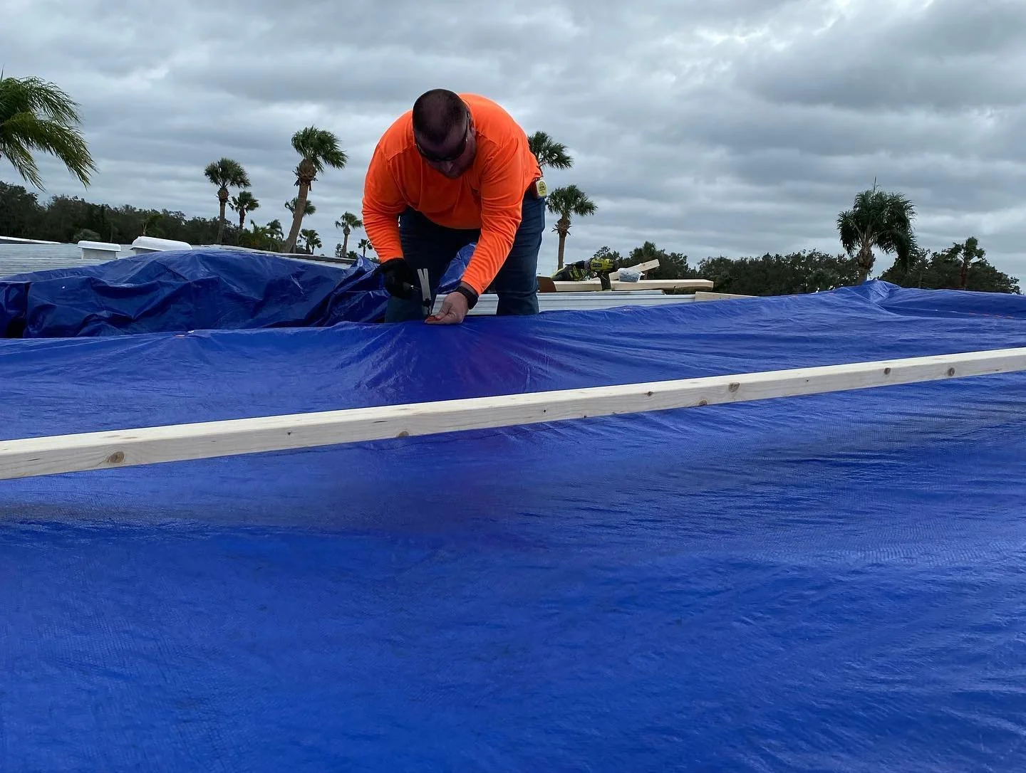 palmetto tarp.jpg