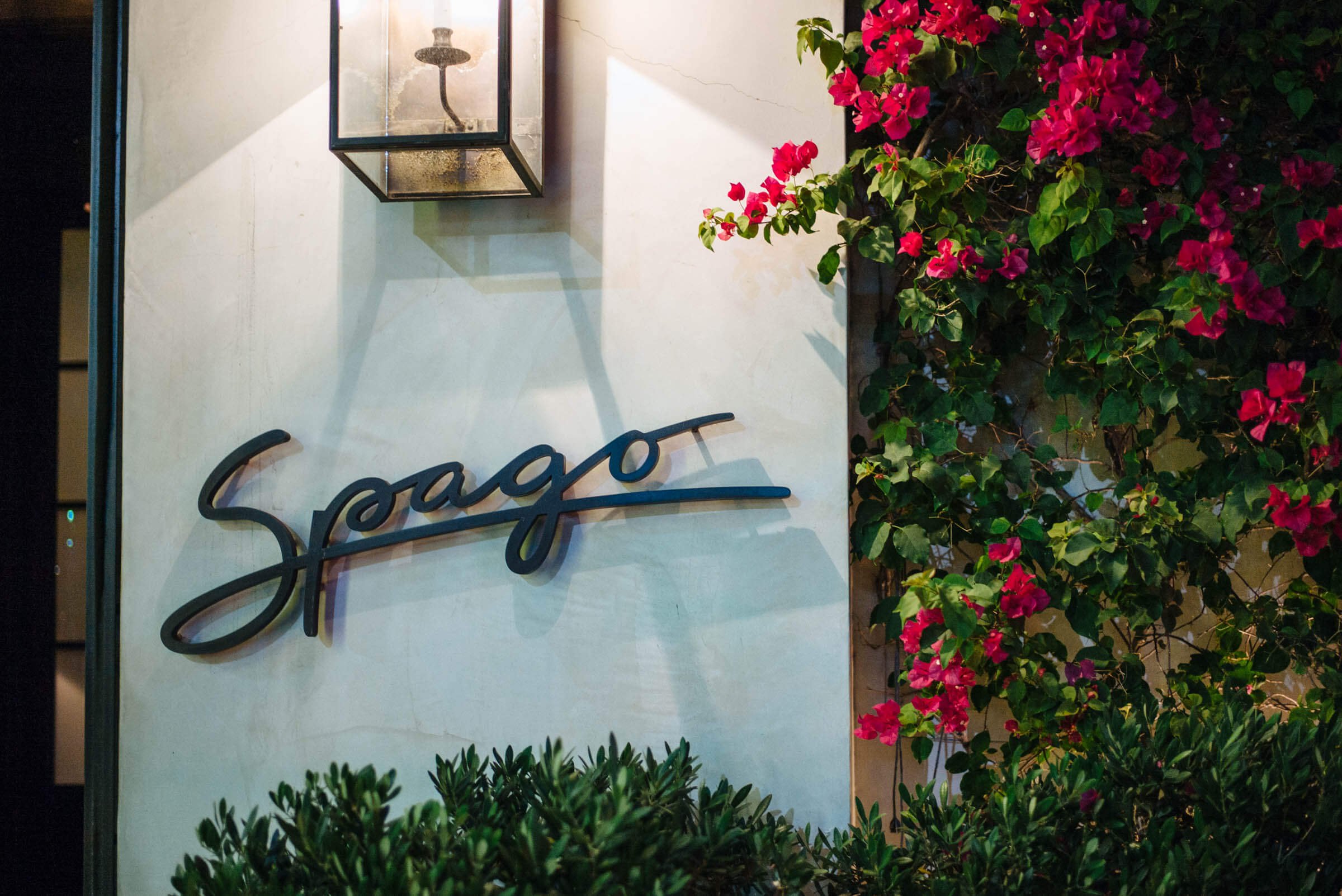 SPAGO-BESTOFDTLA.jpeg