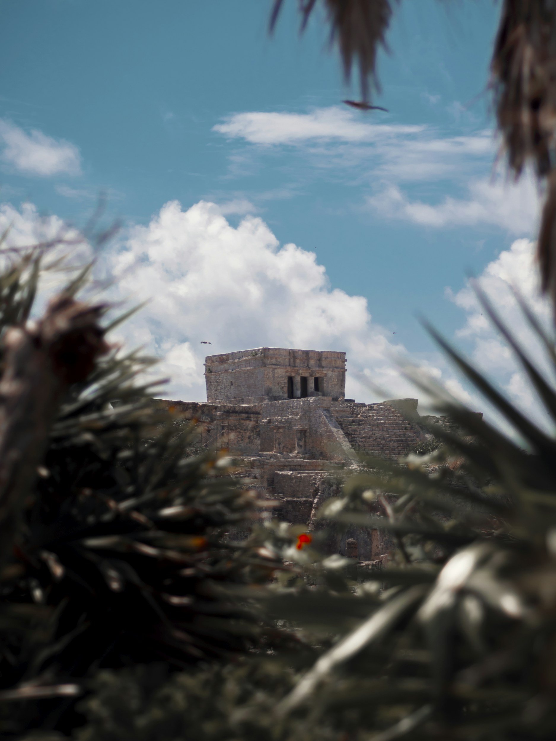 unsplash-image-_ylyMcOqq6s.jpg