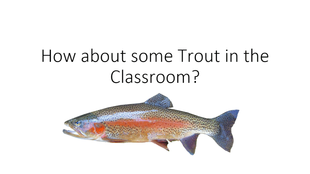 conservation / troutintheclassroom — Santa Barbara Fly Fishers