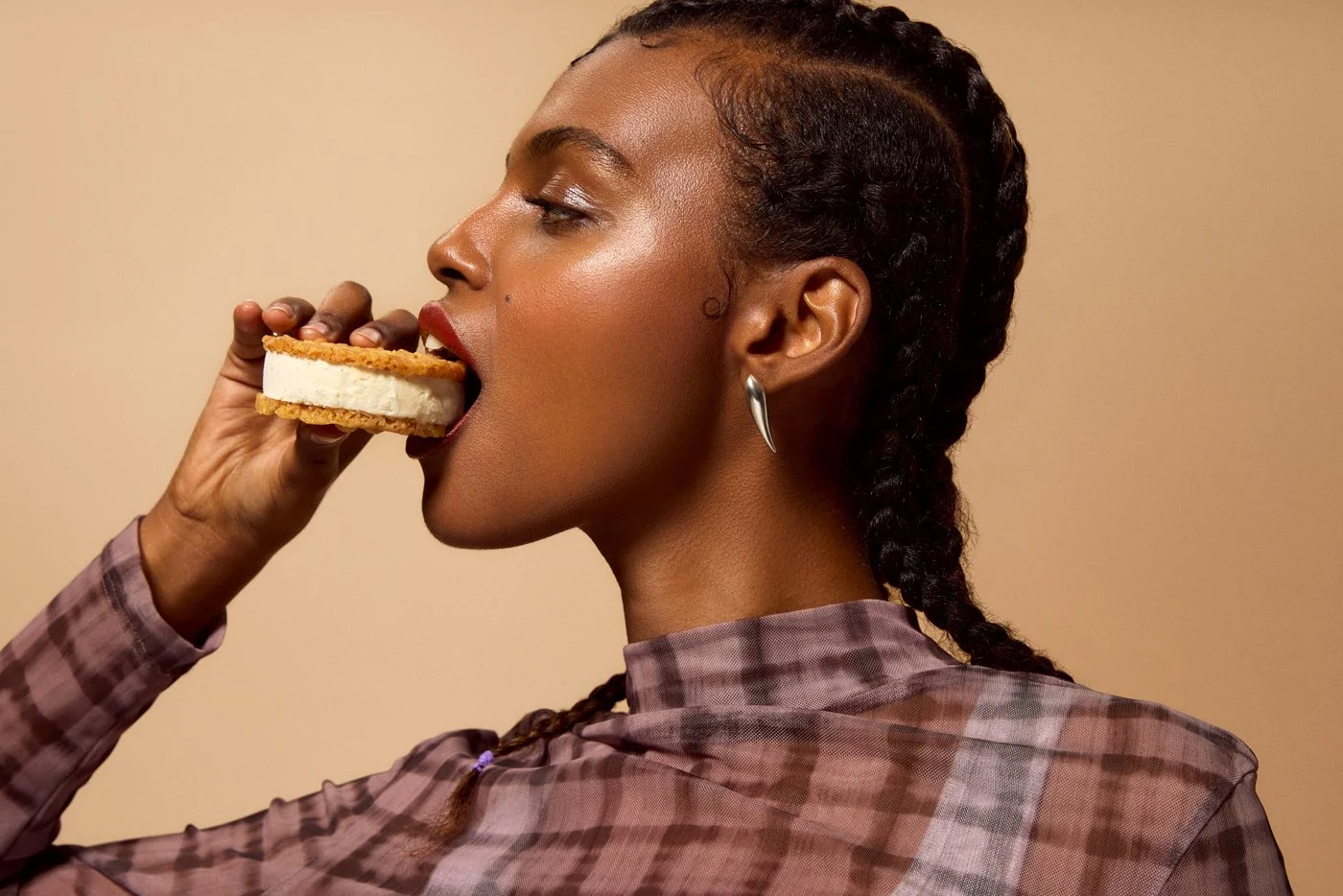 05_ICECREAM_SANDWICH_741_V1.jpg