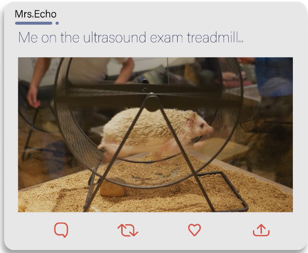 Frame from the EchoNous KOSMOS UP explanation video