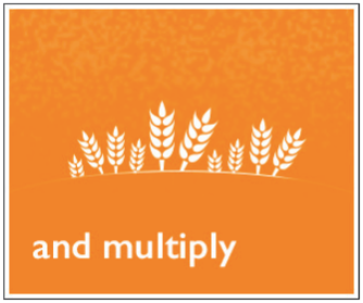 An image of seedlings growing with the text, and multiply