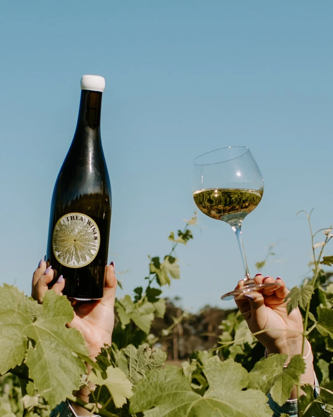 Not frothin&rsquo; for beer, Newy? No stress, we&rsquo;ve got you covered! 🍷 Say hello to the winery legends joining Crafted Festival Newcastle! Sip on smooth reds, crisp whites and everything in between while soaking up the festival vibes.

@peters