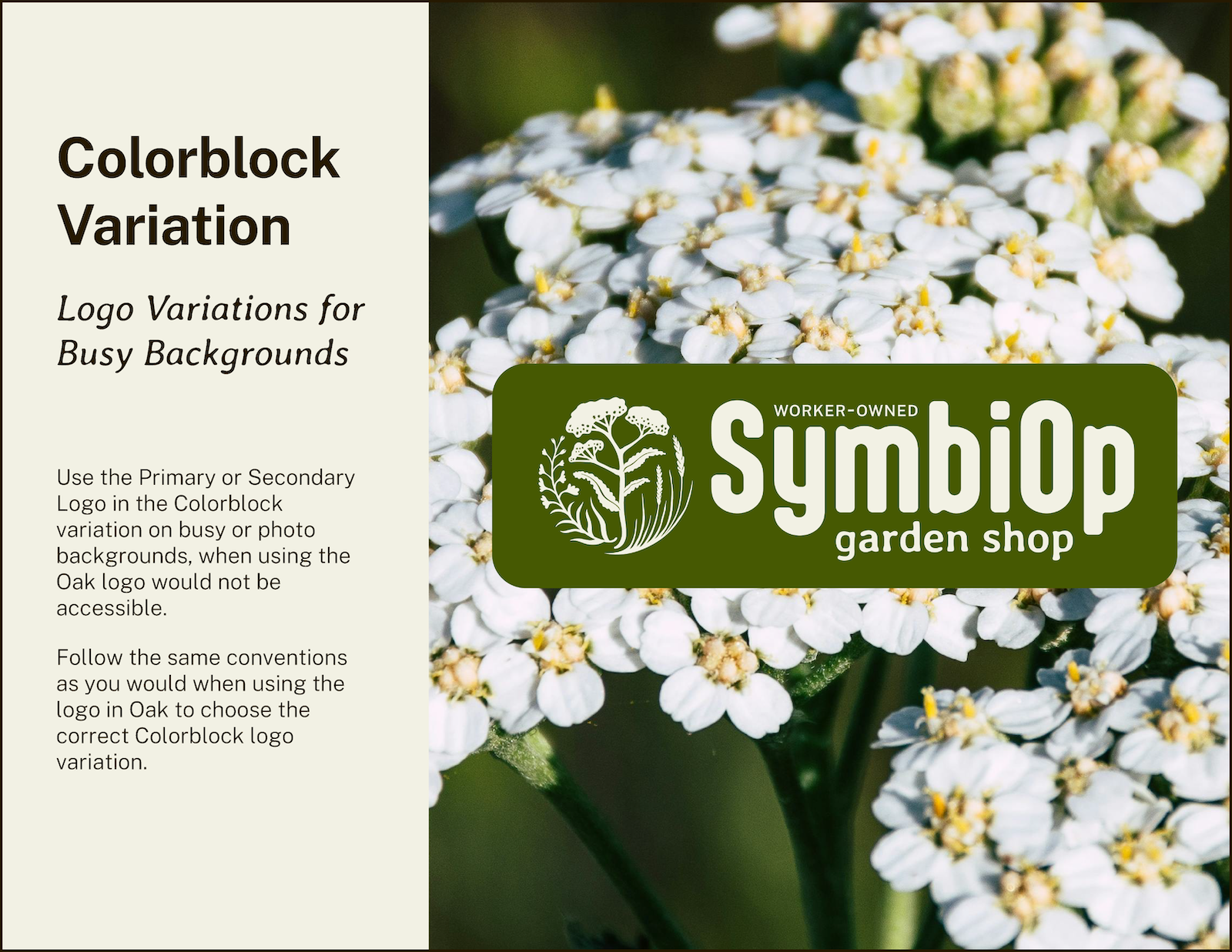 SymbiOp-Brand-Guide_Sample_Colorblock-Variation.png