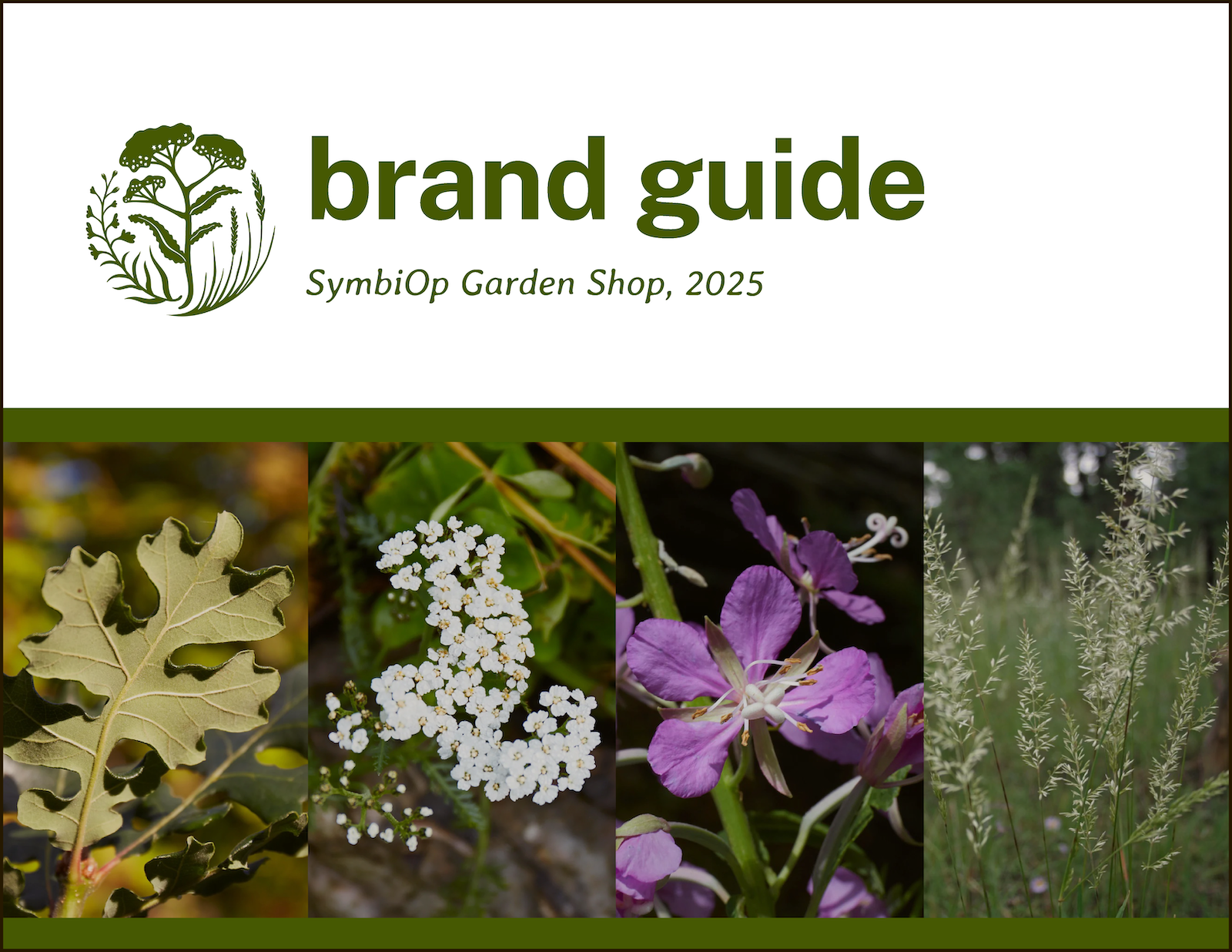 Sample pages of the brand guide I developed for SymbiOp.