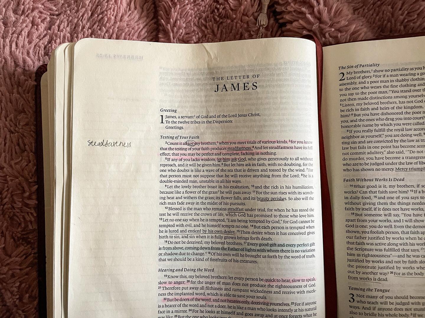 In a world of instant gratification, let&rsquo;s be people who choose steadfastness. In a world of pity parties, let&rsquo;s be people who choose joy. 

I was in the middle of a pity party when I knew I needed to open scripture. I was overwhelmed by 