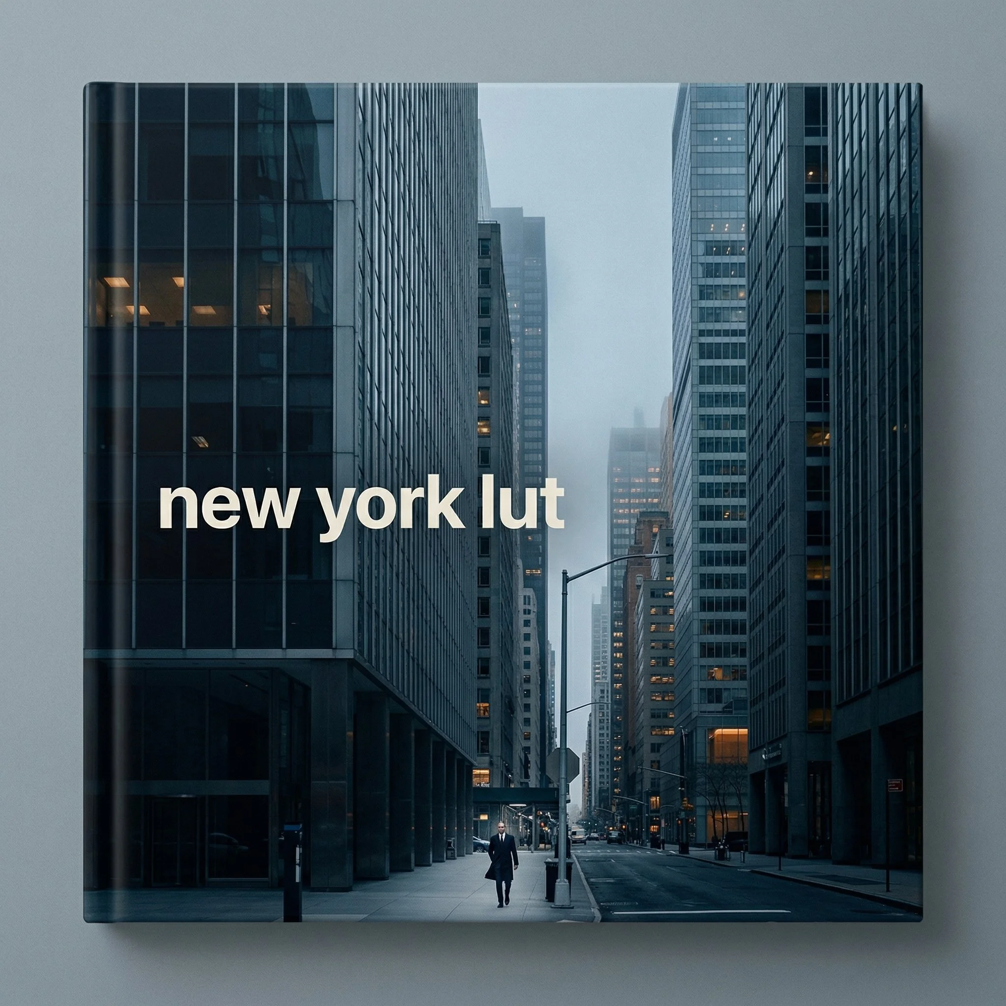 New York LUT