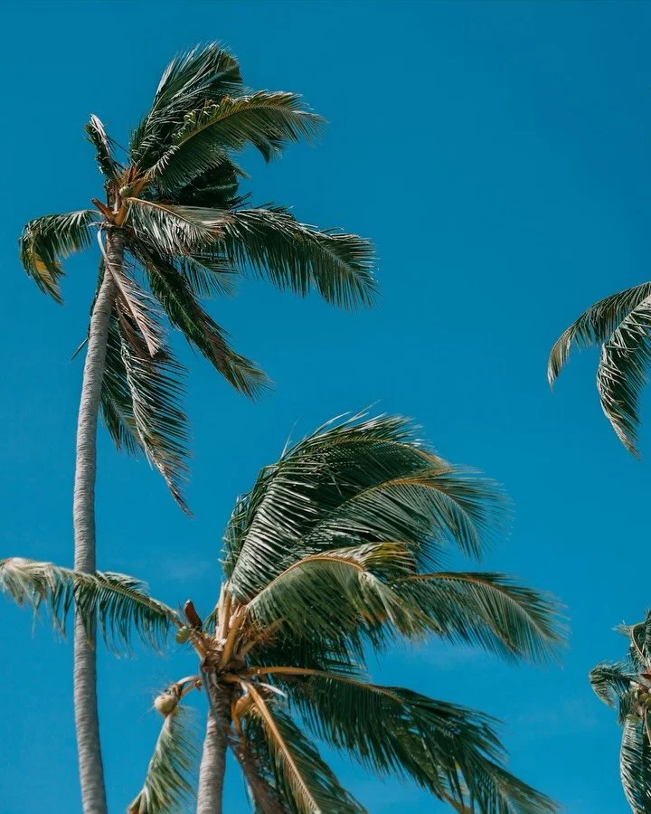 ⚡&nbsp;For clearing things in a zap.&nbsp;Say ol&aacute; to blemish-free and make-up free #adventures with our best-selling #LaserFacialPigment. Available at all Wink locations. 😉✌🏽 

#GetLasered #GetWinked