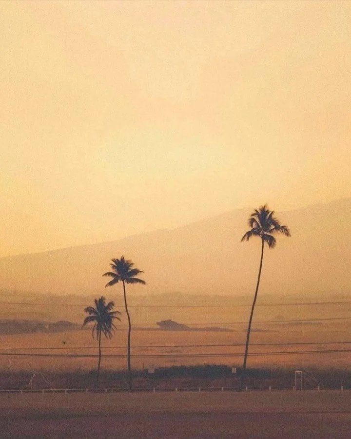 💛&nbsp;Closing the year with full hearts and even fuller waitlists. 🥳✌🏽

Here&rsquo;s to your favorite parts of Wink that we will never stop smiling about.

#GetLasered #GetWinked #AdventuresAtWink