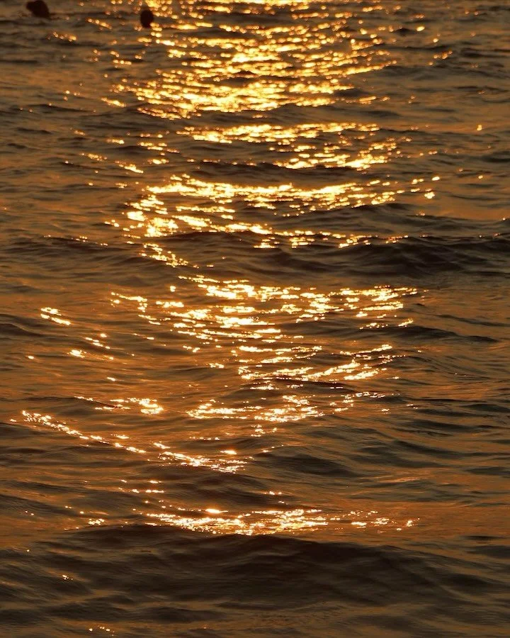 🕵🏻&zwj;♀️&nbsp;Spotted: Wink babes in their natural habitat. Keep the tags coming, we love being part of your every adventure. 😉✌🏽

#GetLasered #GetWinked #AdventuresAtWink