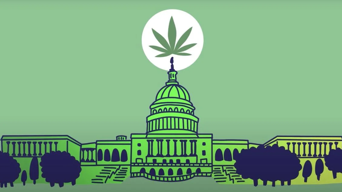 Weeding Out the Complications of American Marijuana Legislation