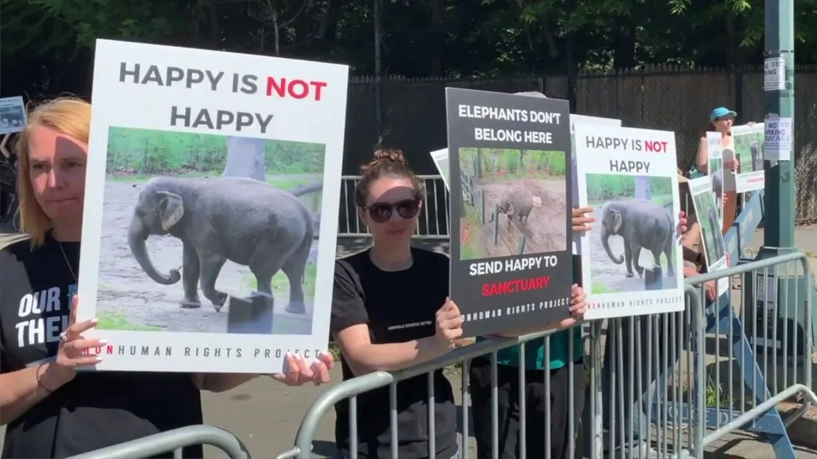 The Legal Rights of the Elephant in the Room