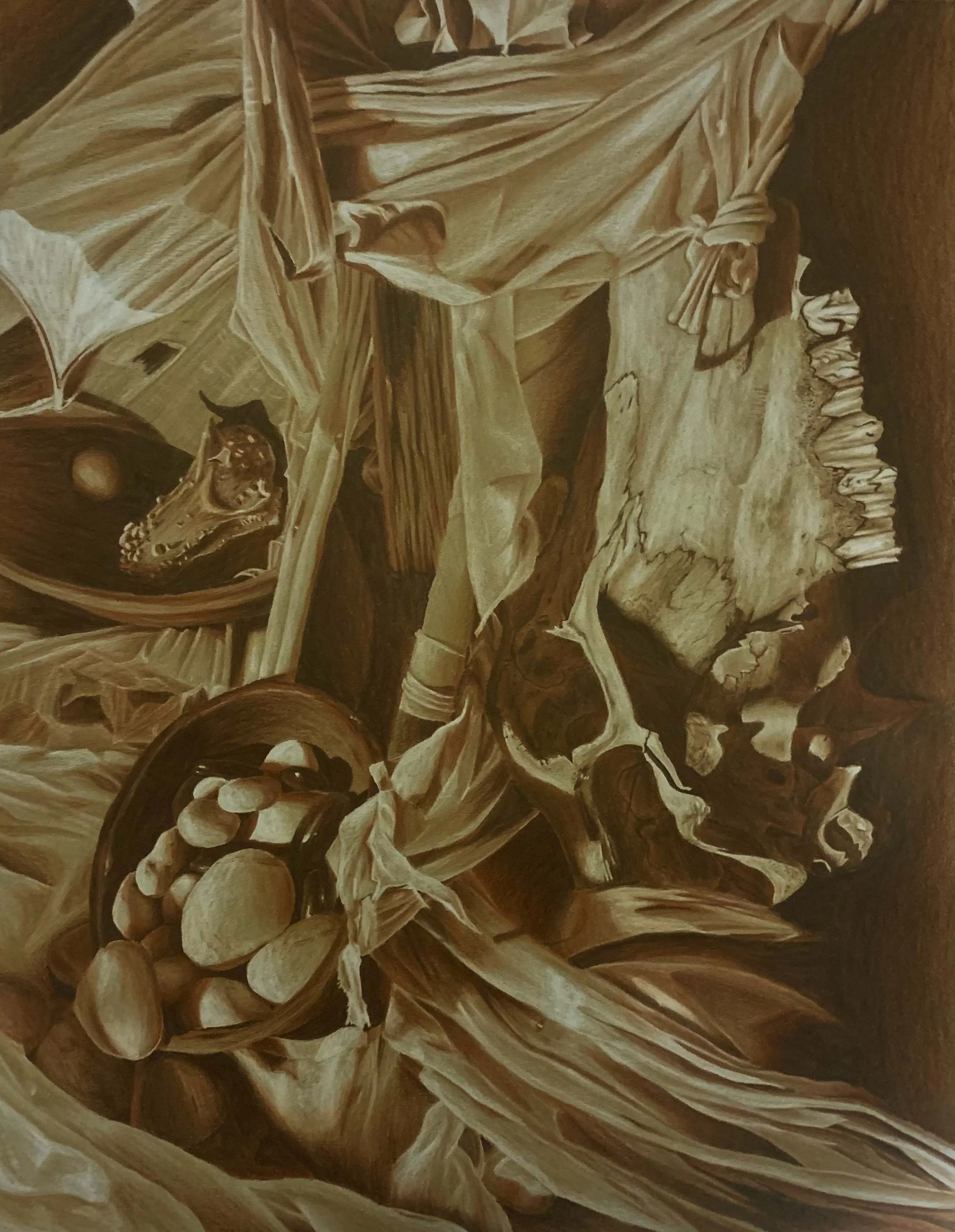 Still Life │Prisma Color on toned paper - 18" x 24"