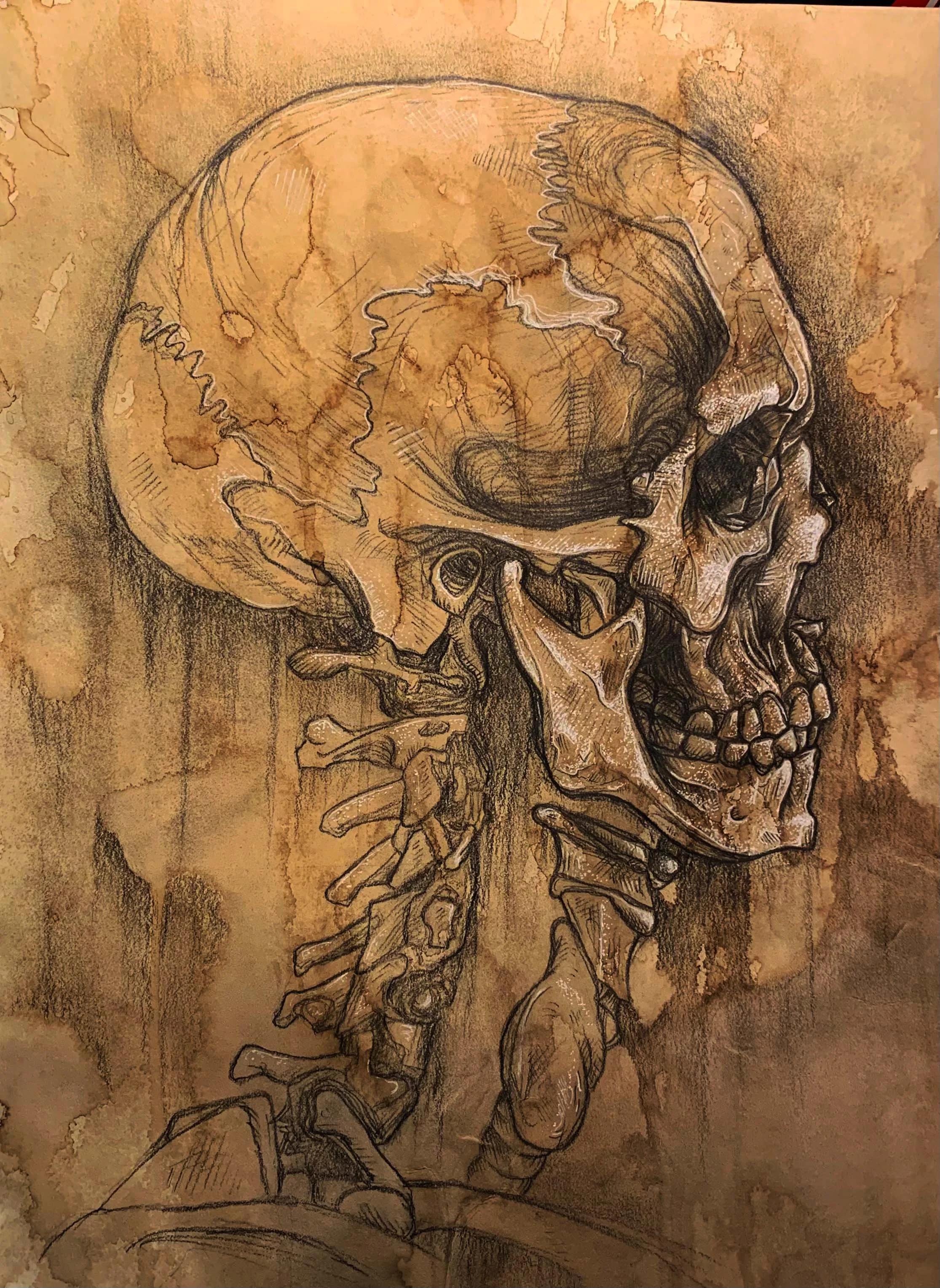 Anatomy Study│Pencil on stained bristol - 9" x 14"