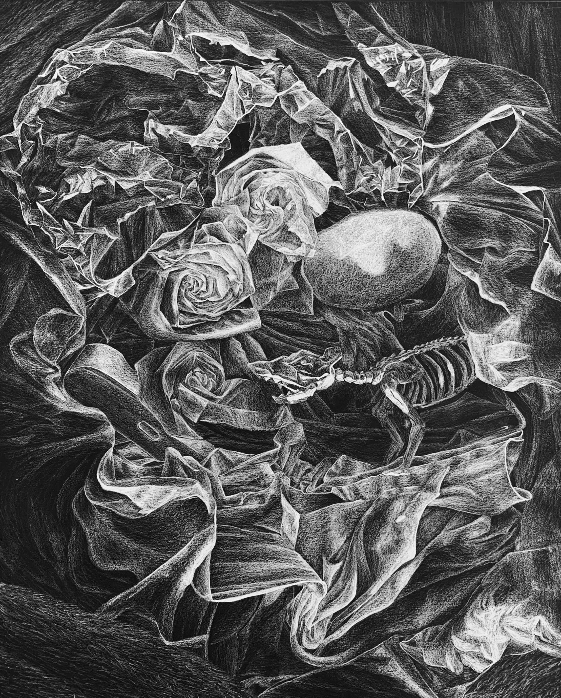 Still Life │Prisma Color on black paper - 18" x 24"