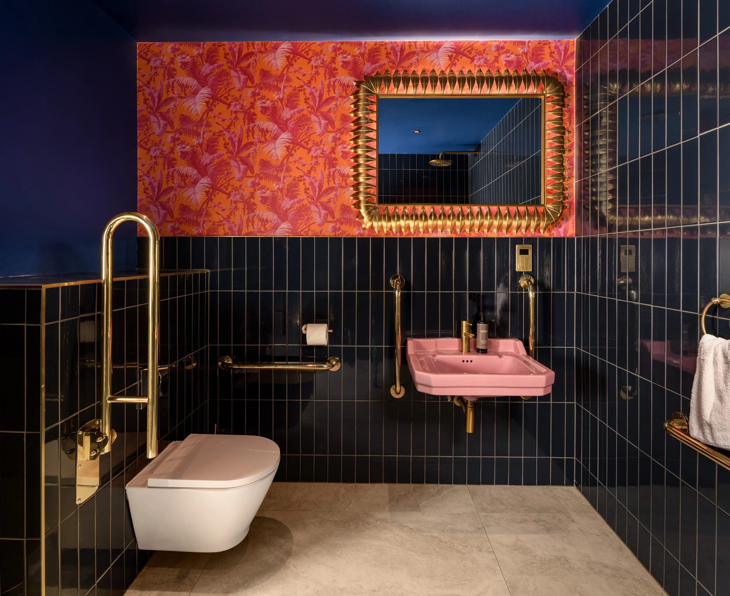 Web Accessible WC © ZACandZAC.jpg