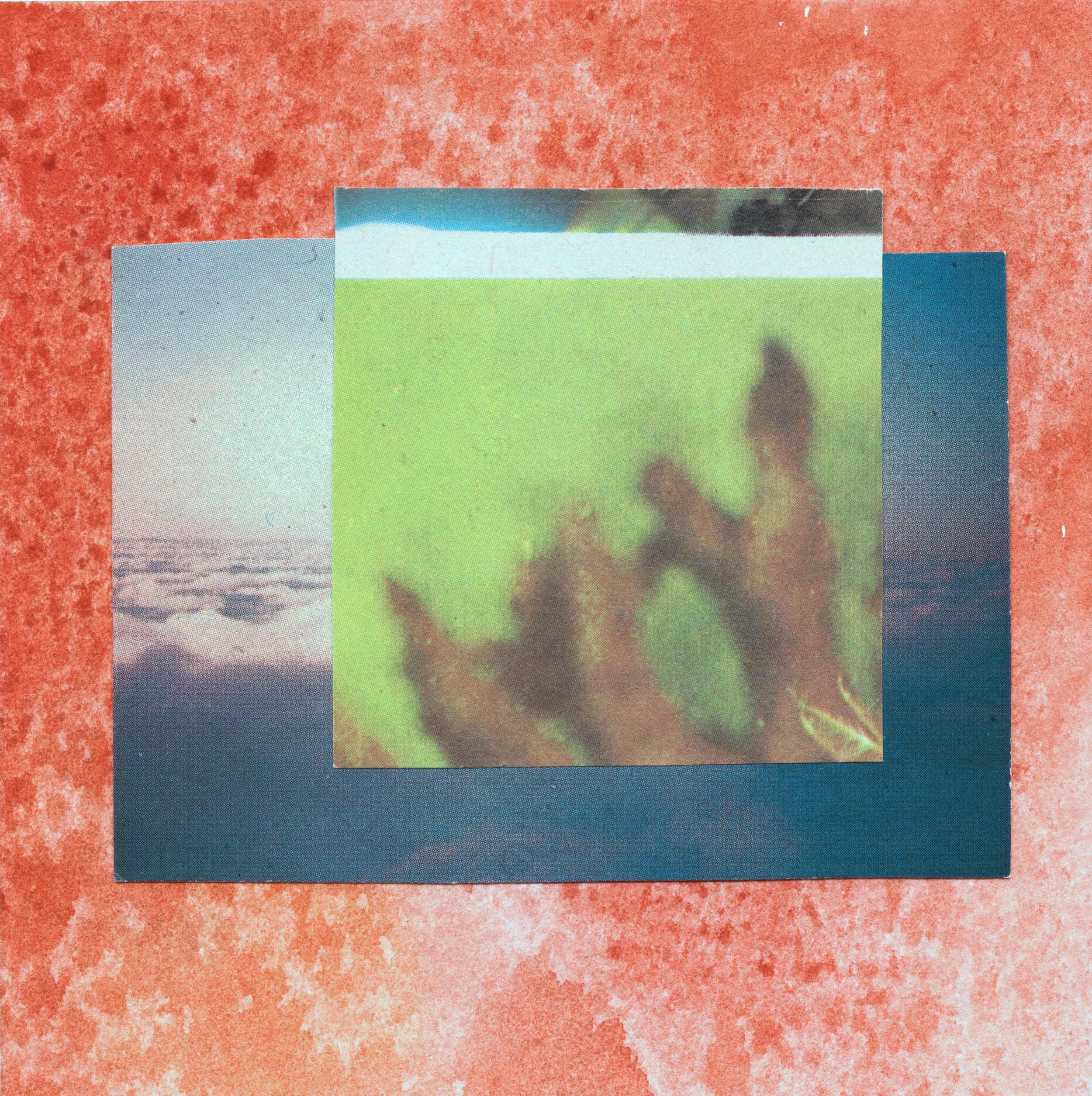 coral.jpg