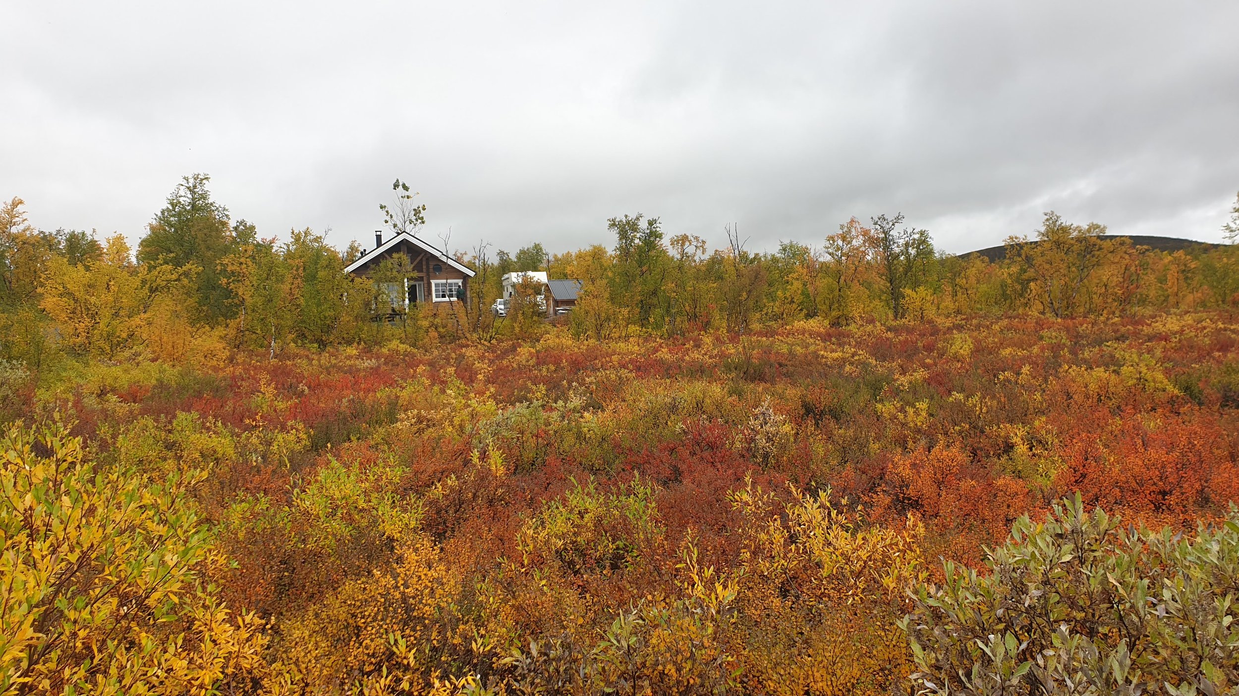 villa-vuosku-autumn-landscape (Copy)