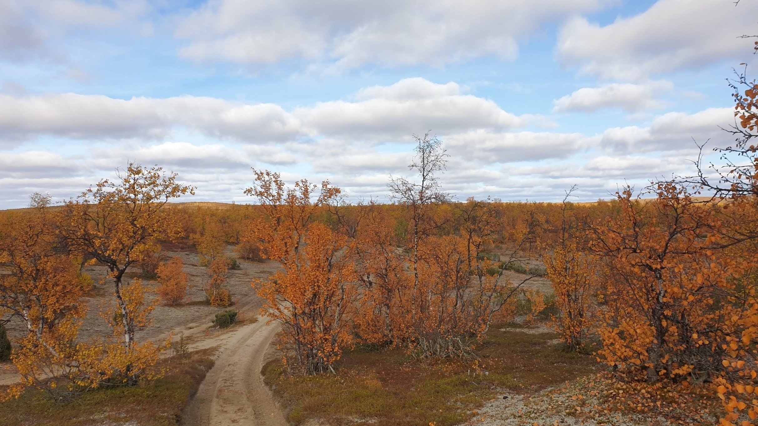 villa-syvajarvi-pathway (Copy)