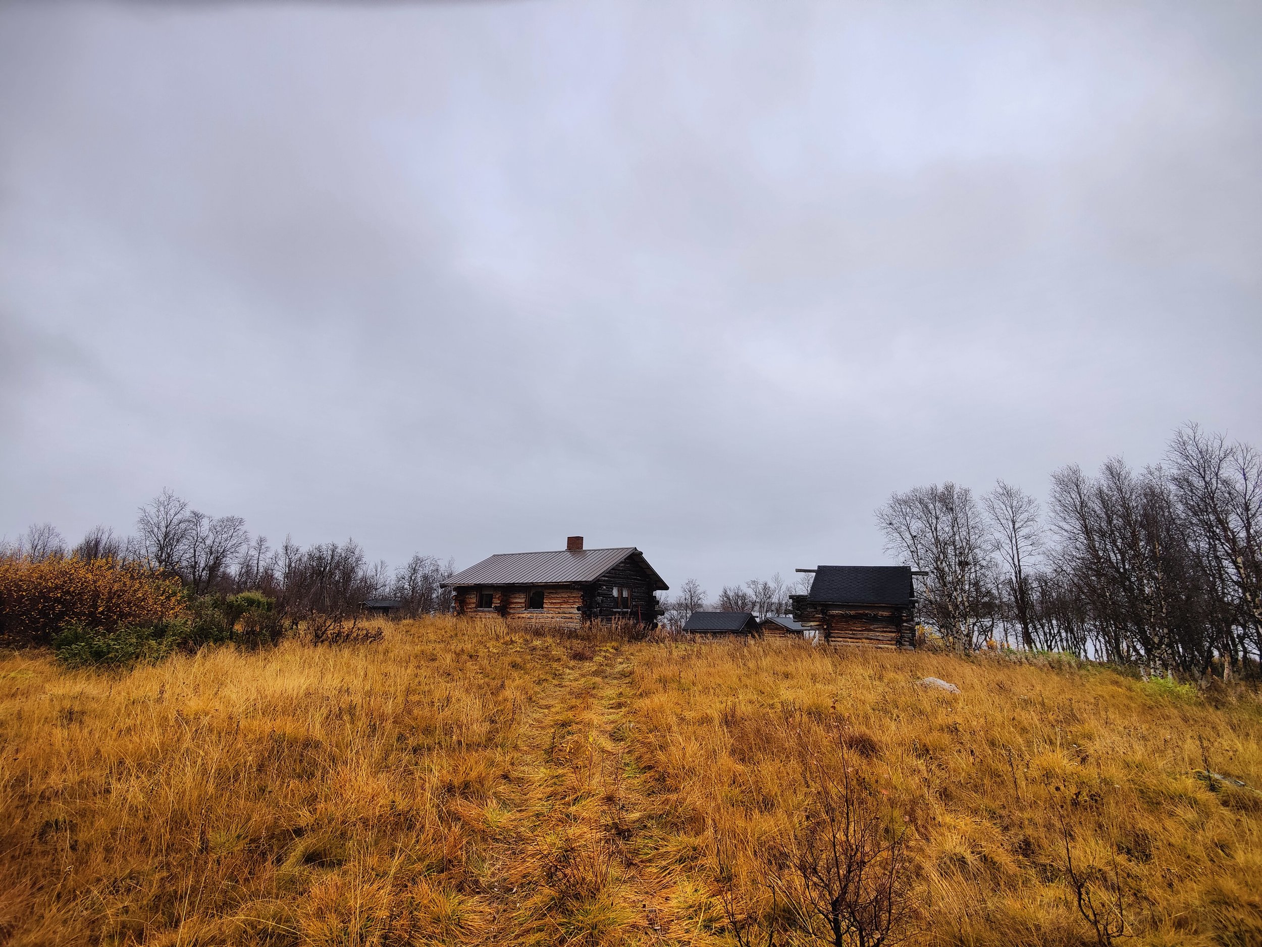 villa-syvajarvi-landscape (Copy)