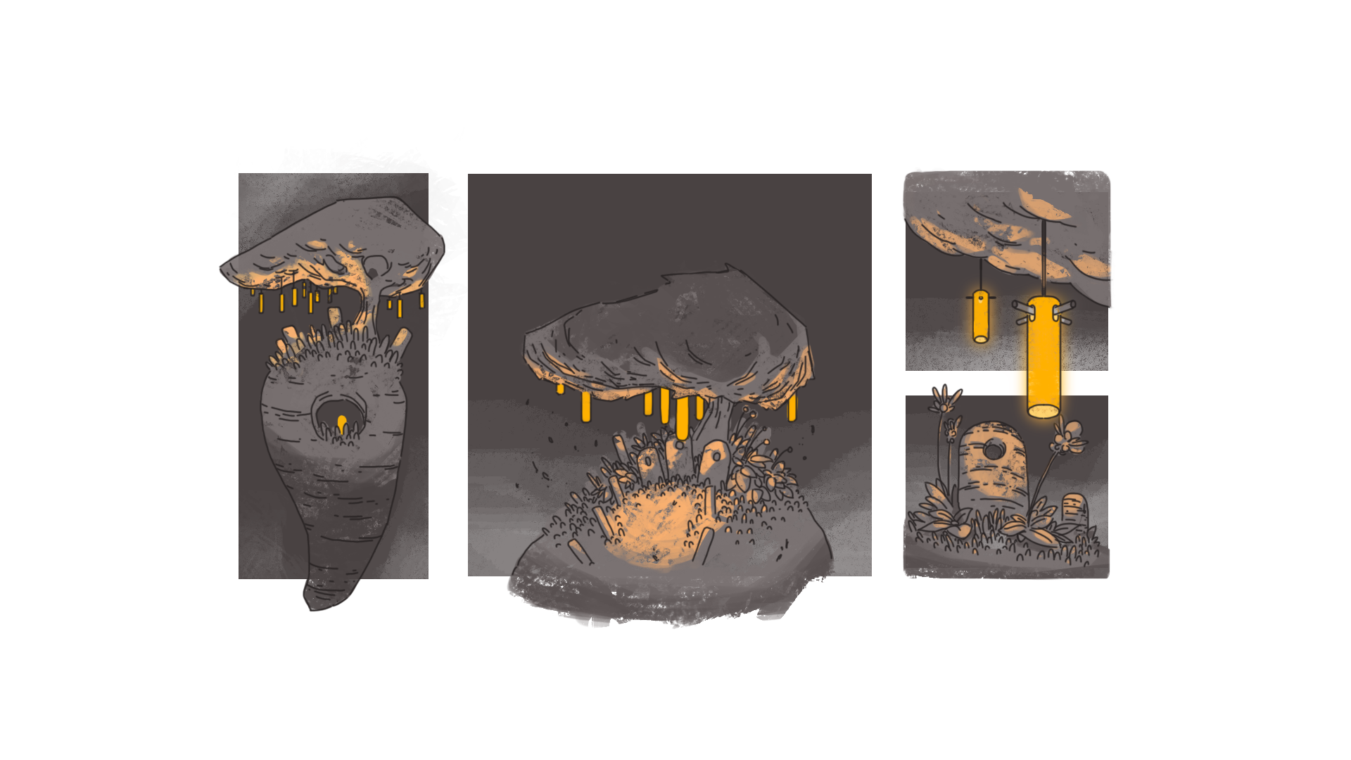 Frail_Concepts_v1.png