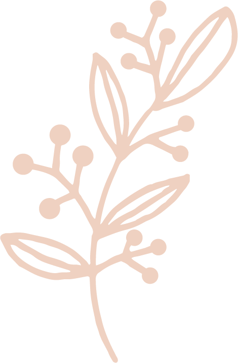 A minimalist illustration of a plant with elongated leaves and round berry-like shapes on stems, against a black background.