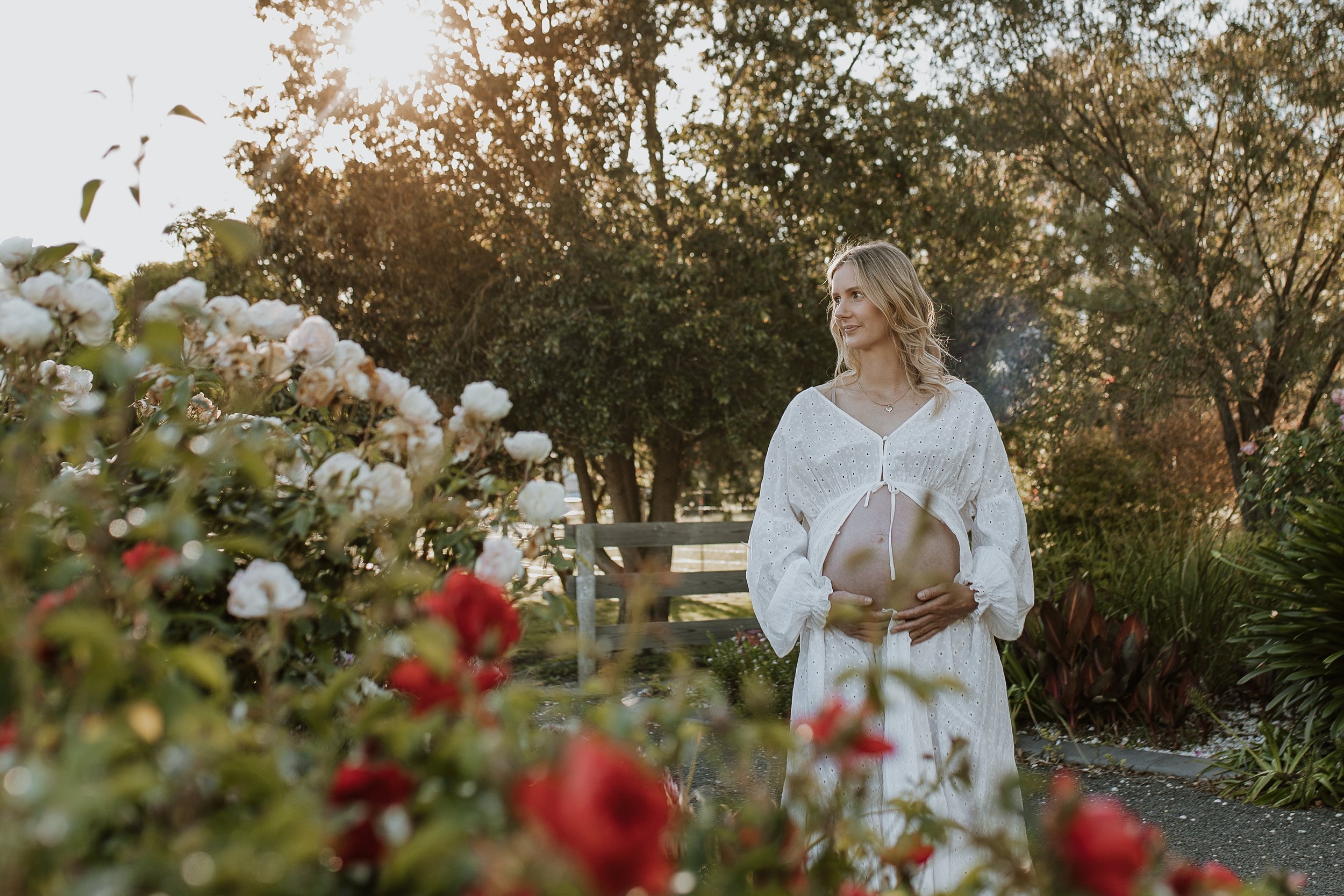 maternity sessions