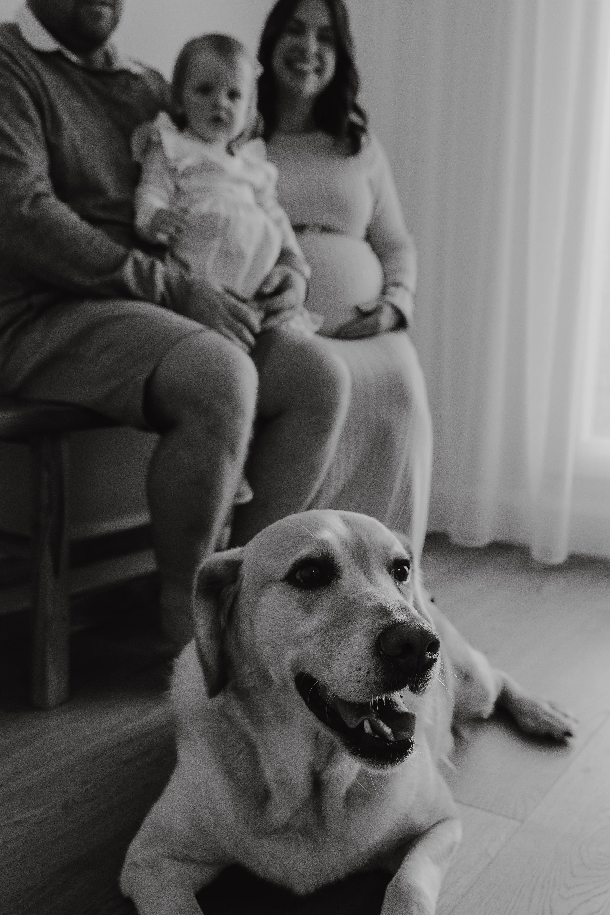 A family with a man, woman, and a young girl sitting on a couch, with a dog lying on the floor in front of them. The woman is pregnant. The image is in black and white.