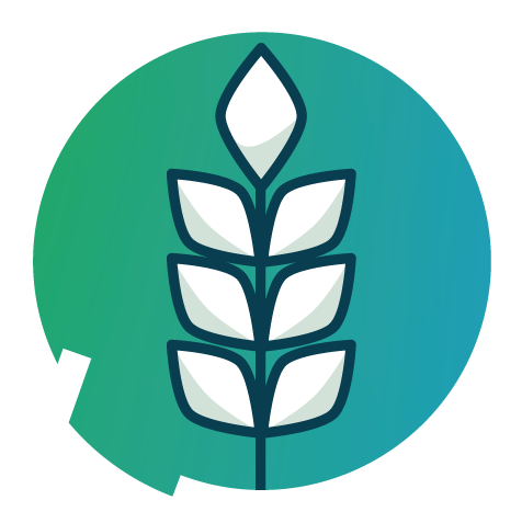 Repurpose Brewer's Spent Grain with Impact Flash-Drying Technology