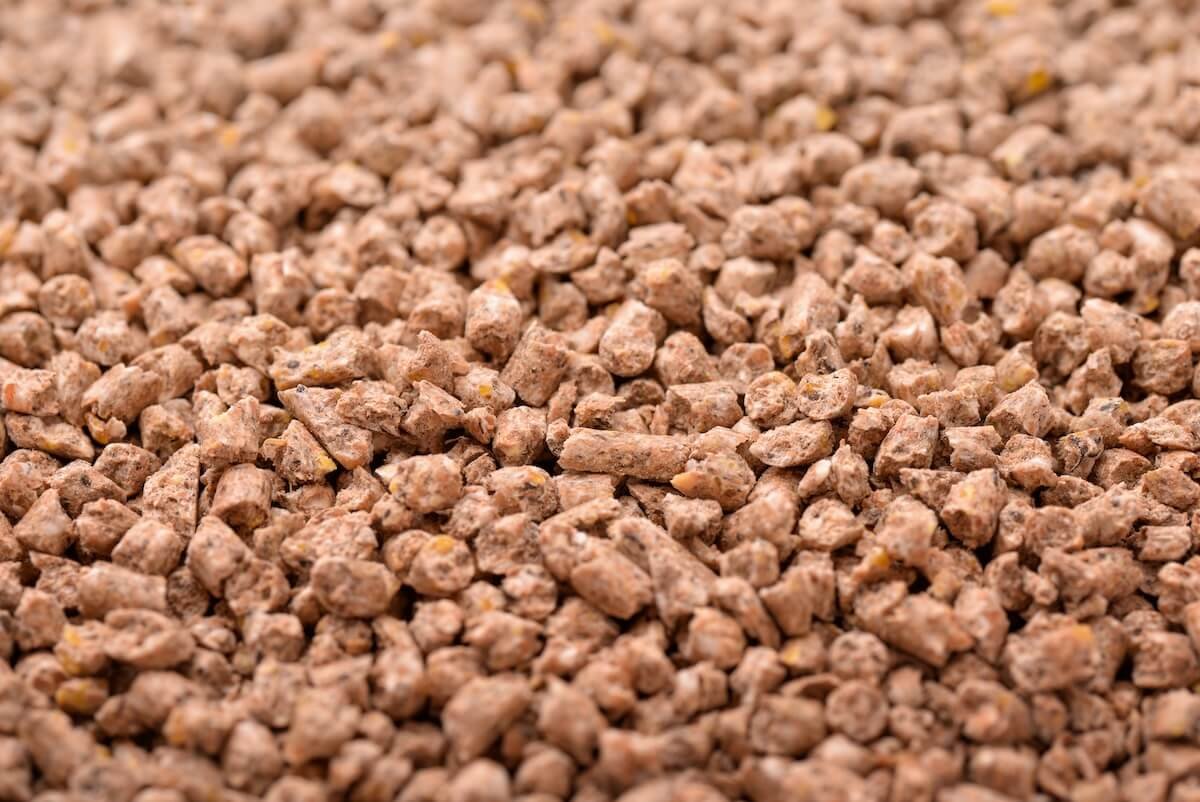 Animal Feed Impact Flash Drying