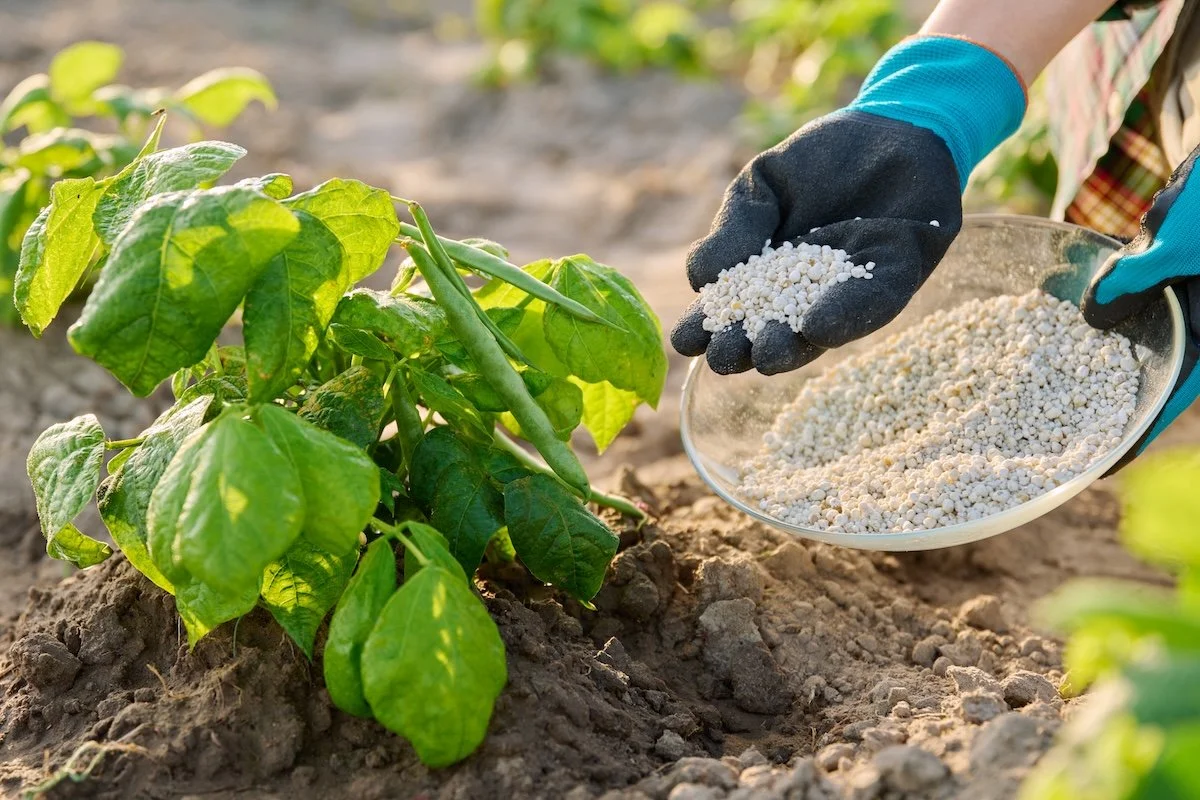 Nutraceuticals and Supplements Impact Flash Drying