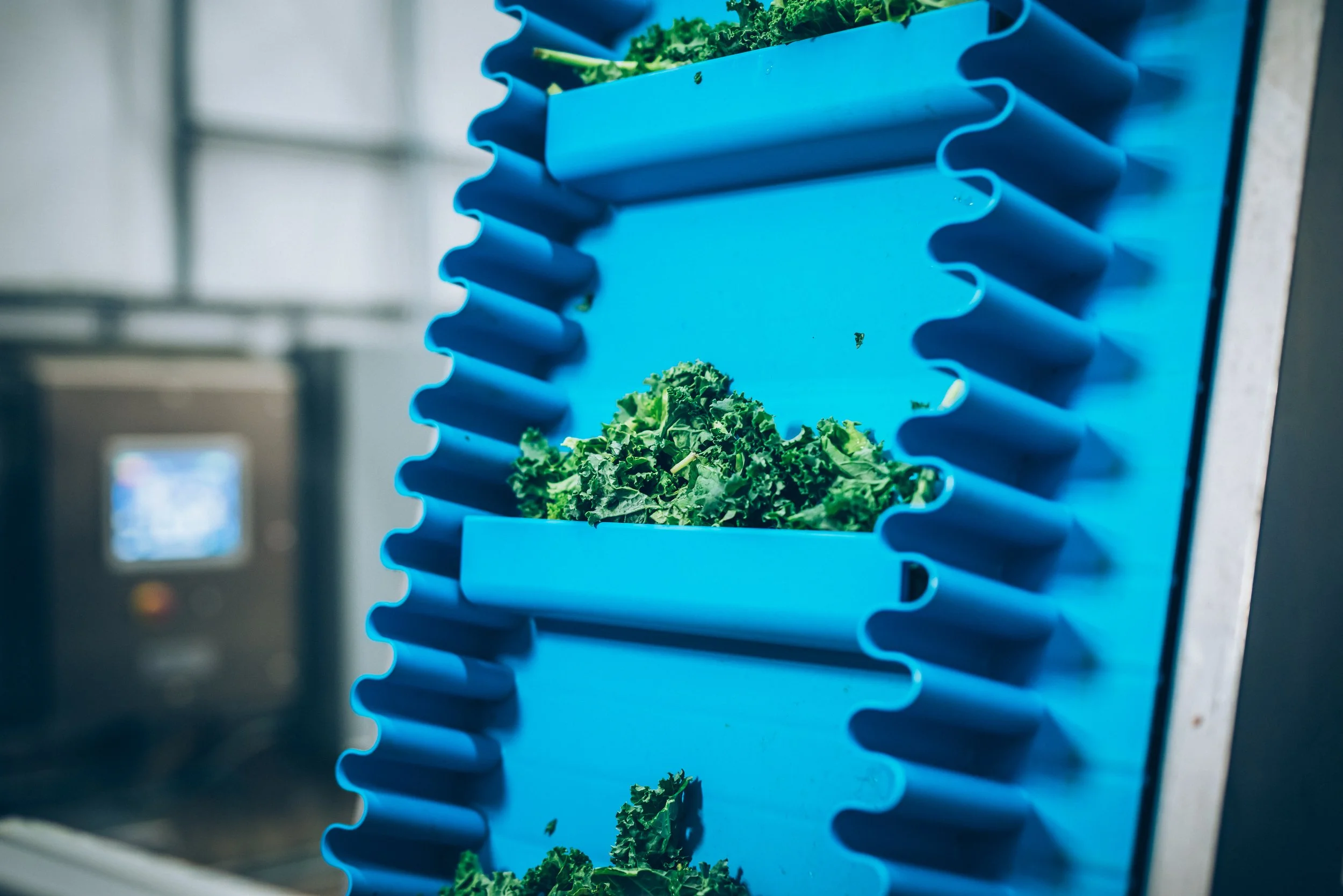 Feeding Innovation: Triton Innovation Automates Infeed for GTF’s Drying and Milling System