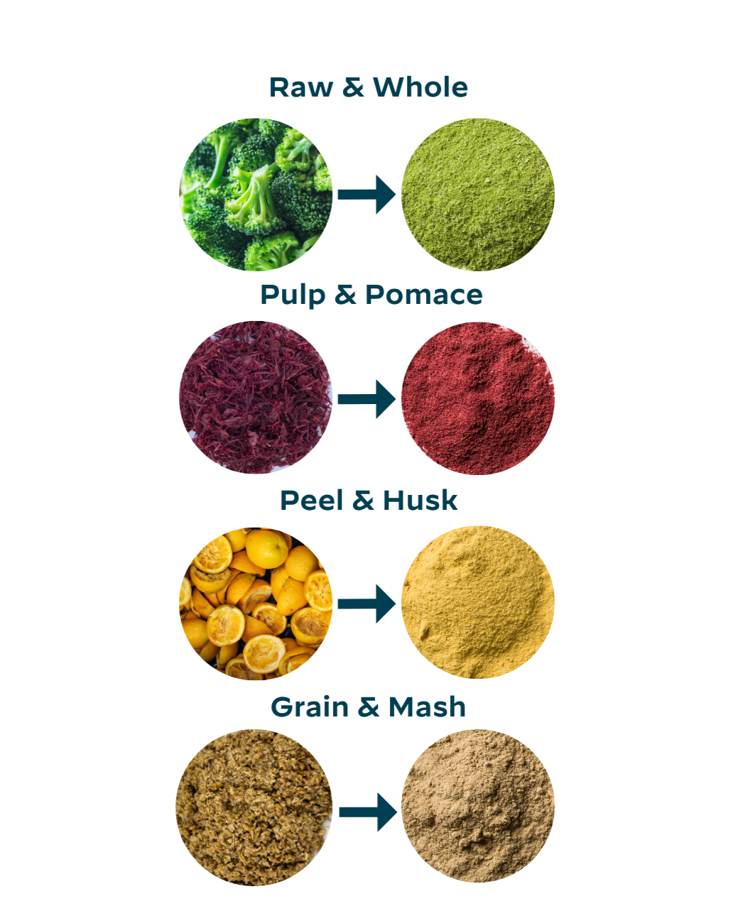 arious fresh or processed fruits, vegetables, and grains, and their powderized equivalents