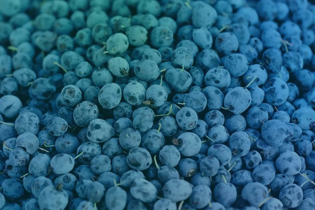 tech blue-berry-2021-08-26-17-25-18-utc_Edit.jpg