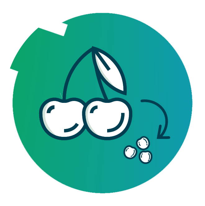 Side Streams with Impact Flash-Drying Technology