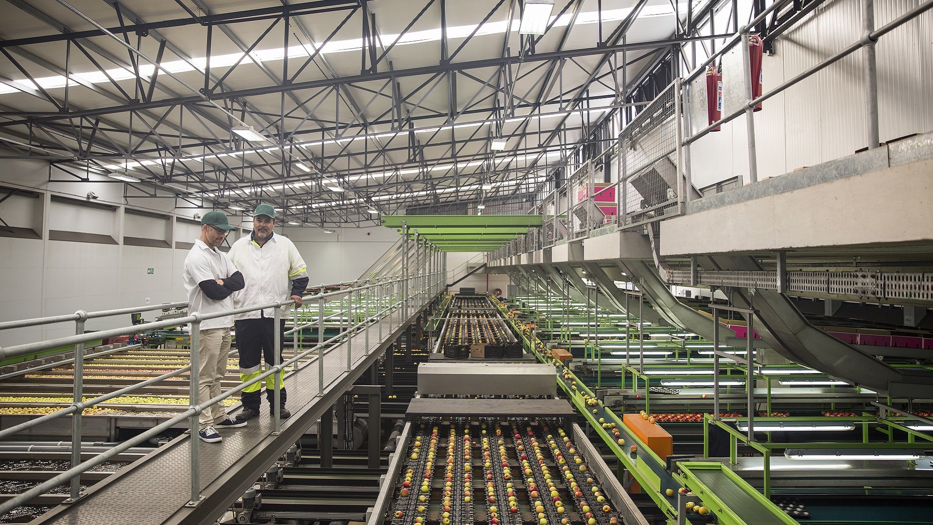 Modern food processing facility