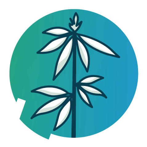 Hemp & Biomaterials Processing with Impact Flash-Drying Technology