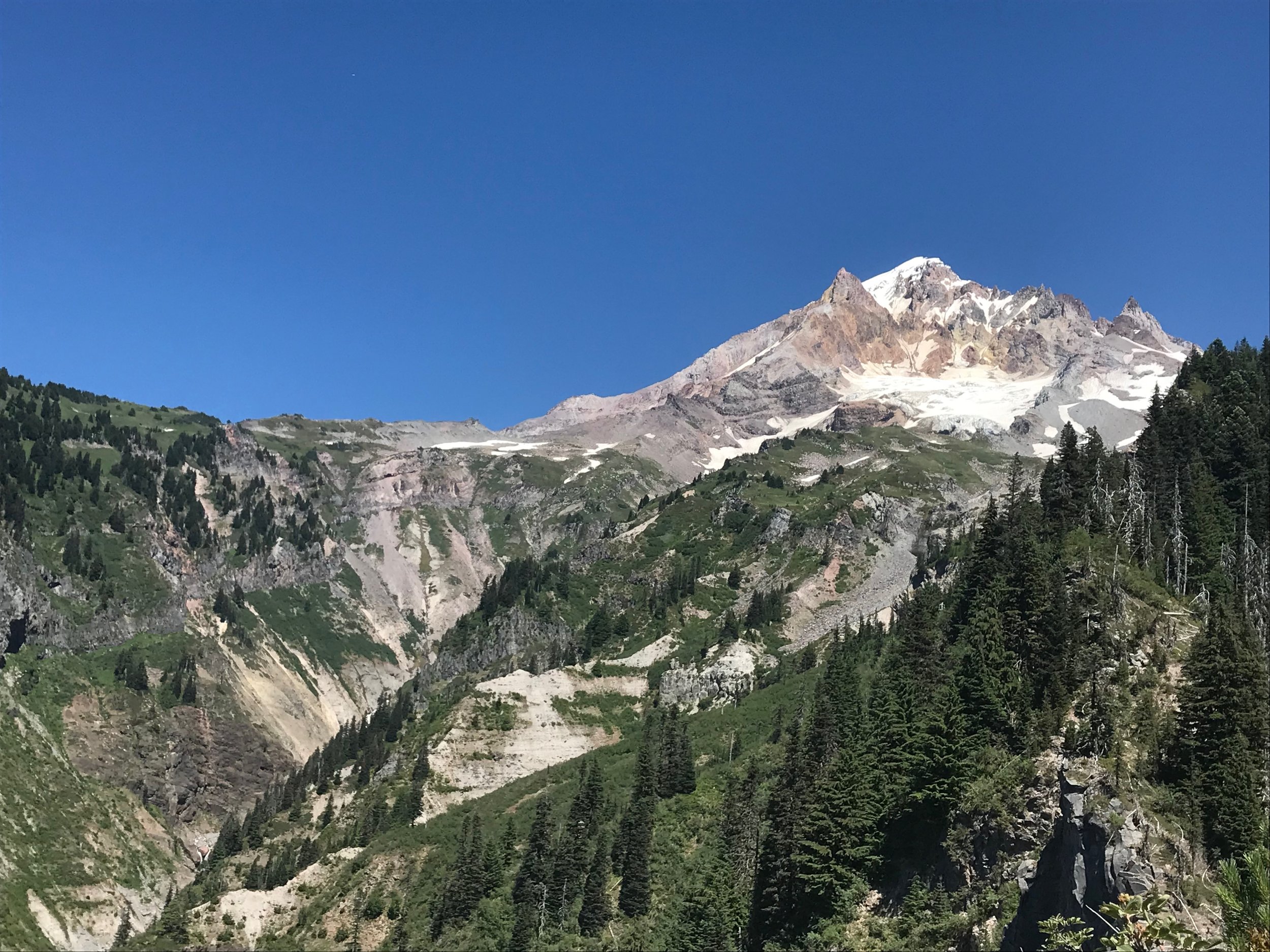 IMG_4977.jpeg