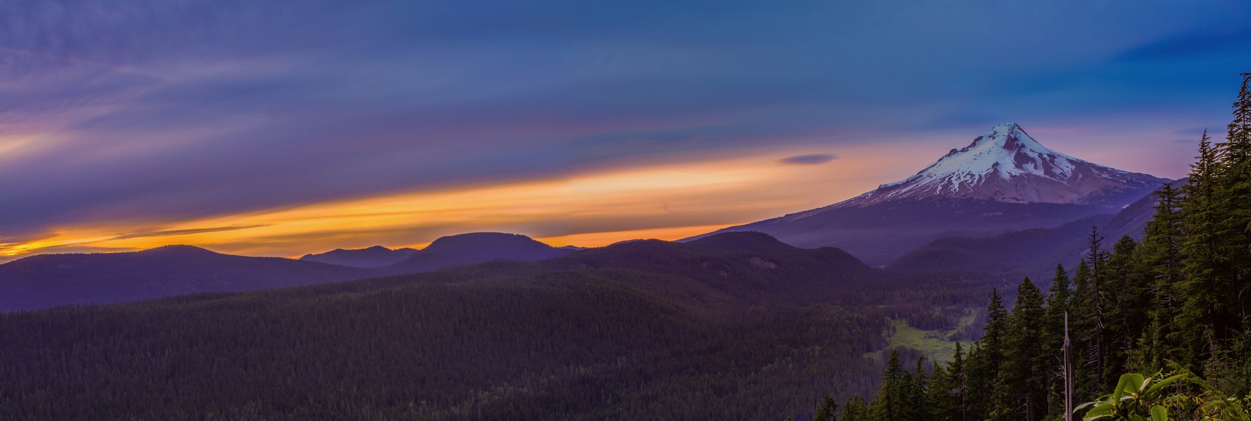 AdobeStock_101083652.jpeg