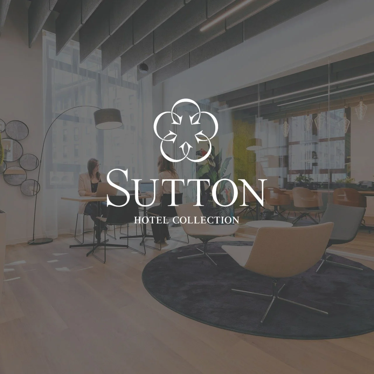 Interim revenue management providing stability and commercial reset for a three-hotel portfolio