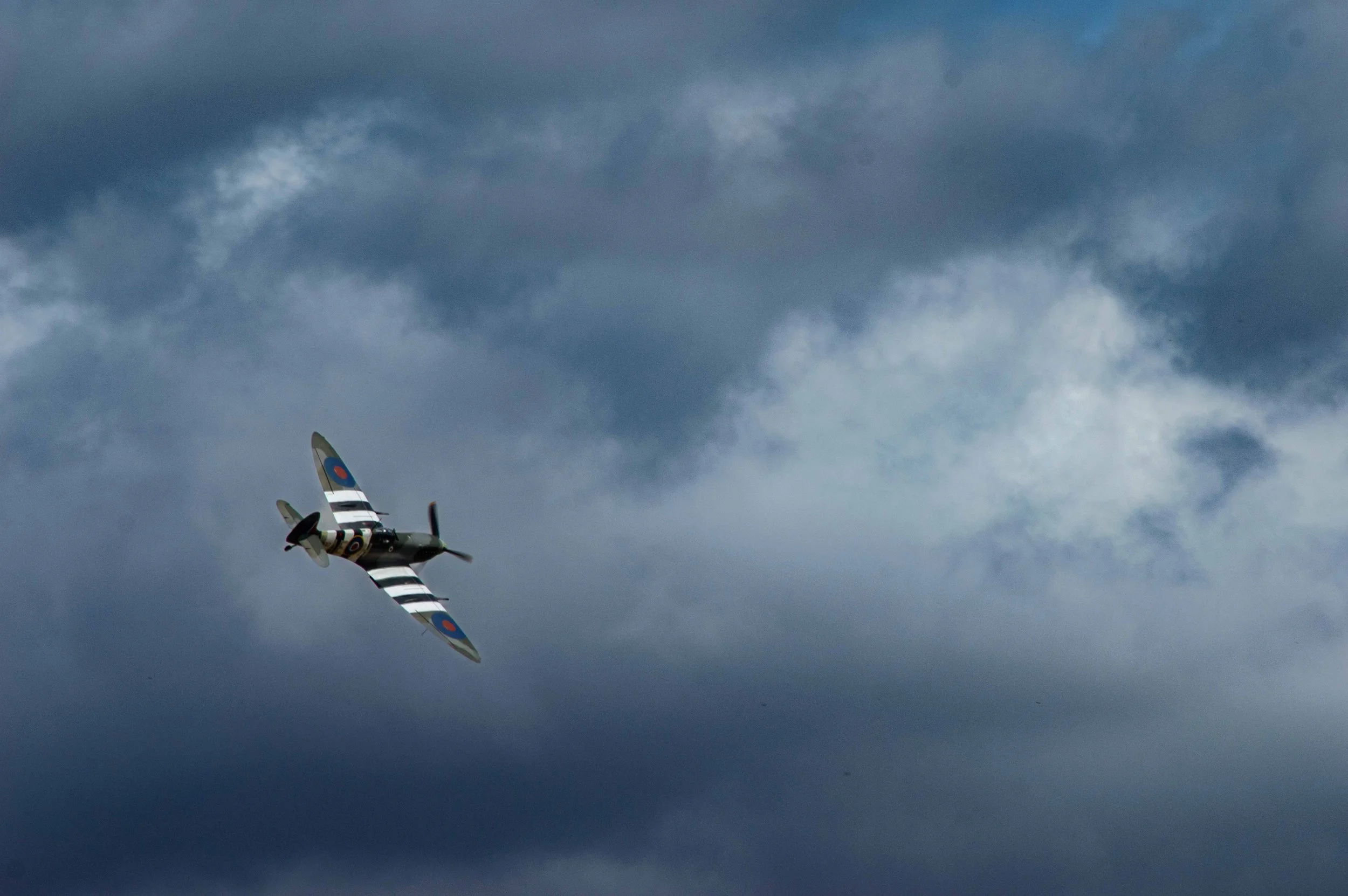 49-DSC_0391.jpg