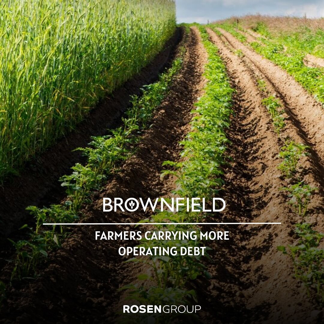Gain valuable insights into the current state of the farm economy and strategies for navigating volatility from #RGClient @fnbo&rsquo;s VP of Agribusiness Banking, Barry Benson. In an engaging interview with @brownfieldagnews, Benson sheds light on t