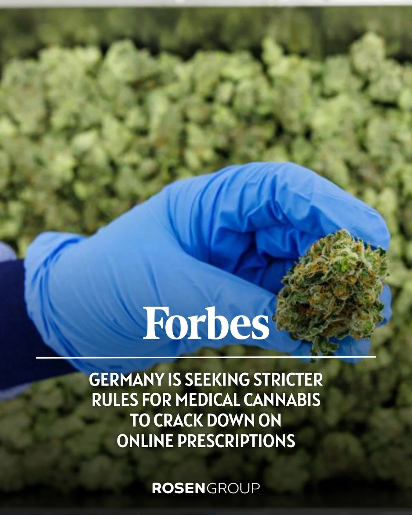 #RGClient @bloomwellde recently surveyed nearly 3,900 patients and 500 doctors and found that many patients turn to telemedical consultations because traditional healthcare providers in Germany often lack cannabis expertise. Bloomwell Co-Founder Dr. 