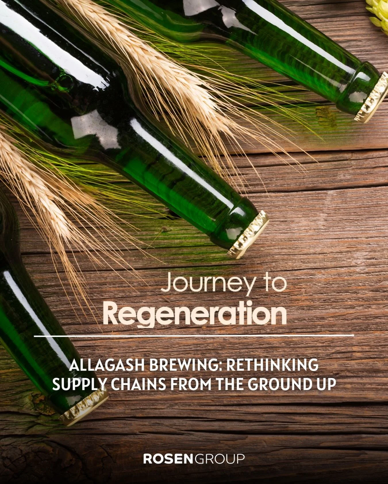 Craft brewing and regenerative agriculture might seem far apart, but @AllagashBrewing is showing just how connected they can be.

A new #JourneytoRegeneration podcast episode features Rob Tod, founder of Allagash Brewing Company (and proud #RGClient)