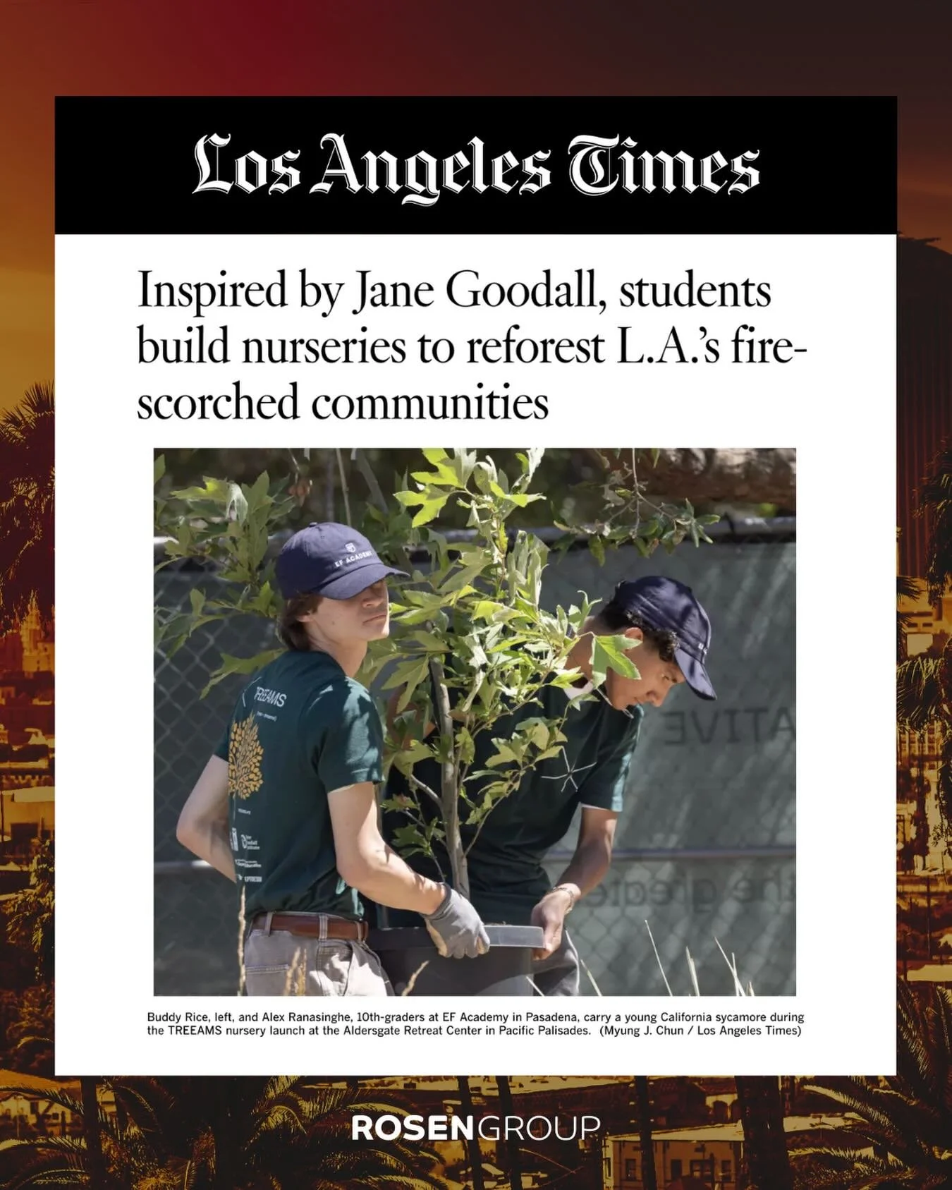 9 in 10 Americans say trees impact their mental health. So what happens to a community when they&rsquo;re gone?

Following the Palisades fires, our client @arbordayfoundation is working to restore LA&rsquo;s tree canopy &mdash; and the well-being tha